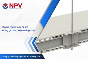 3 thang mang cap | Nam Phương Việt