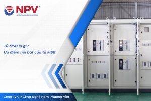 13 tu msb | Nam Phương Việt