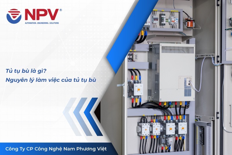 14 tu tu bu | Nam Phương Việt
