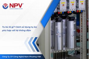 35 tu bu la gi | Nam Phương Việt