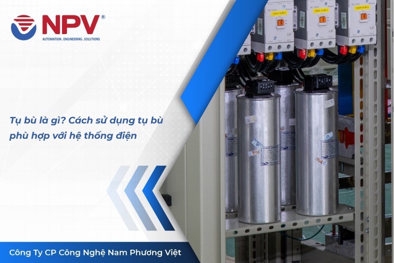 35 tu bu la gi | Nam Phương Việt