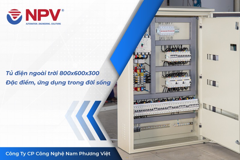 50 tu dien ngoai troi | Nam Phương Việt