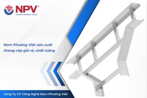 82 thang cap gia re 1 | Nam Phương Việt