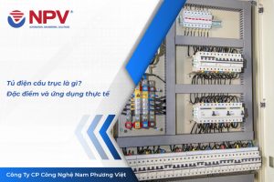 100 tu dien cau truc | Nam Phương Việt