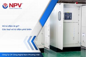 118 vo tu dien | Nam Phương Việt