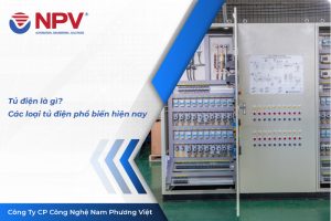 99 tu dien la gi 1 | Nam Phương Việt