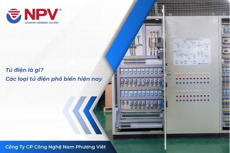 99 tu dien la gi 1 | Nam Phương Việt