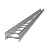 Thang cáp sơn tĩnh điện 400x100