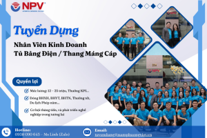 tuyen dung nam phuong viet nhan vien kd tu dien thang mang cap 2 | Nam Phương Việt