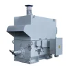 Động cơ không đồng bộ ba pha biến tần điện áp trung – cao dòng YP, YPKK 6kV hình 1