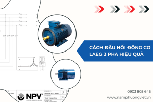 cach dau noi dong co laeg 3 pha hieu qua | Nam Phương Việt