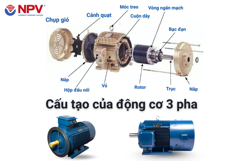 Nguyên lý cấu tạo của động cơ 3 pha
